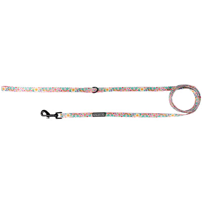 Follow The Rainbow is a cool, multi-coloured print featuring an assortment of adorable cartoon flowers, bees, and rainbows against a simple white background.  Available in collar, harness, and leash.