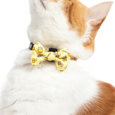 Little Kitty Co. Cat Collar & Bow Tie - Bee-Hiving is a vibrant yellow design featuring an adorable little print of cartoon bumblebees and honey. Buzz buzz, baby!