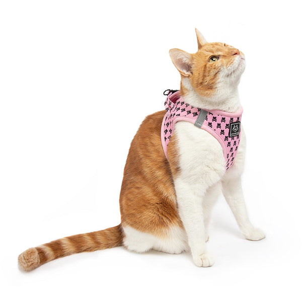 Little Kitty Co. Cat StepIn Harness Prettiest Of Them All (Limited