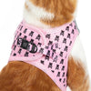 Little Kitty Co. Cat Step-In Harness - Prettiest Of Them All is a cute bubblegum pink harness with an unexpectedly dark twist - a kitty-themed skull and crossbones print. Your furbaby must be the prettiest of them all... or else!