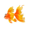 The Cute Critters Brooch - Goldfish - An adorable large brooch available in orange, red, or turquoise blue.