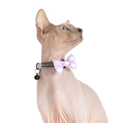 Little Kitty Co. Cat Collar & Bow Tie - Berry Gingham - Berry Gingham is exactly what it sounds like - a delicate pastel purple and white gingham print, with a matching purple lining.