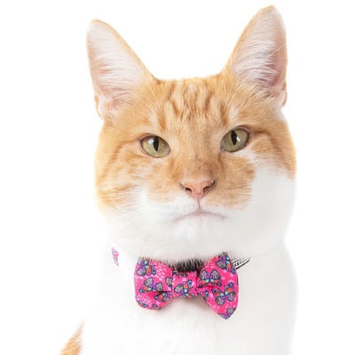Little Kitty Co. Cat Collar & Bow Tie - Flutterly Fab | Flutterly Fab is an adorable hot pink design adorned with cute little cartoon butterflies. So much fun! Available in collar, harness, and leash. Grab yours today!