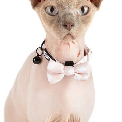 Little Kitty Co. Cat Collar & Bow Tie - Latte Gingham is a soft, tasty pastel brown, perfect for the classy kitty who doesn't need bright colours to stand out from the cafe crowd.