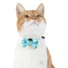 Little Kitty Co. Cat Collar & Bow Tie - Santa's Reindeers (Limited Edition) - An adorable cat collar with a cyan/teal background, decorated with little cartoon reindeer and images of Santa Claus.