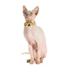 Little Kitty Co. Cat Collar & Bow Tie - Sunny Vibes is the perfect way to rock that summer feeling all year round, with its bright yellow palette and bold sunflower print.