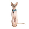 Little Kitty Co. Cat Collar & Bow Tie - Sushi Makes Miso Happy is the perfect treat for the fashionable sushi fan, with a cool turquoise print and colourful cartoon print.
