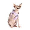 Little Kitty Co. Cat Step-In Harness - Berry Gingham - Berry Gingham is exactly what it sounds like - a delicate pastel purple and white gingham print, with a matching purple lining.