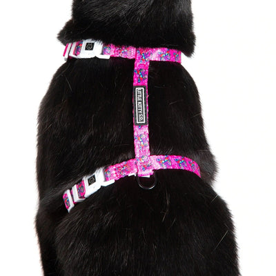 Little Kitty Co. Cat Strap Harness - Flutterly Fab | Flutterly Fab is an adorable hot pink design adorned with cute little cartoon butterflies. So much fun! Available in collar, harness, and leash. Grab yours today!