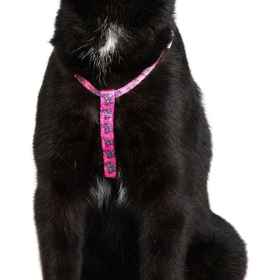 Little Kitty Co. Cat Strap Harness - Flutterly Fab | Flutterly Fab is an adorable hot pink design adorned with cute little cartoon butterflies. So much fun! Available in collar, harness, and leash. Grab yours today!