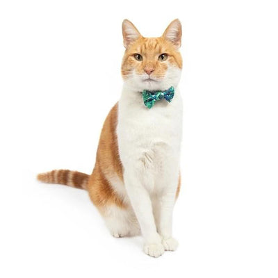 Little Kitty Co. Cat Collar & Bow Tie - Vacay Palms (Limited Edition) - A vibrant green cat collar with a leaf motif. It has a white cat-shaped buckle, a black bell, and a matching bowtie that can be attached with velcro.