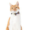 Little Kitty Co. Cat Collar & Bow Tie - Graffiti (Limited Edition) - A vibrant multi-coloured cat collar with a pop art motif. It has a white breakaway buckle, a black bell, and a matching bowtie that can be attached with velcro.