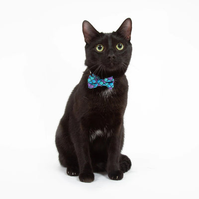 Little Kitty Co. Cat Collar & Bow Tie - Scaled Back (Limited Edition) - A lovely purple blue cat collar with a scale motif. It has a white cat-shaped buckle, a black bell, and a matching bowtie that can be attached with velcro.