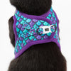 Little Kitty Co. Cat Step-In Harness - Scaled Back (Limited Edition) - A full chest cat harness with a fun mermaid or fish scale print. It has purple mesh lining and purple trim, but the print itself is a tasteful mixture of purple, blue, and green.